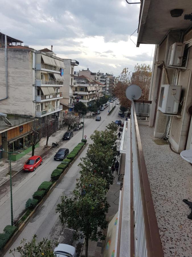 Goodbye, Lenin Apartment ตริกาลา ภายนอก รูปภาพ